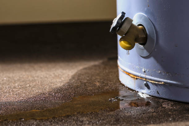  Ruthers, CA Water damage restoration Pros