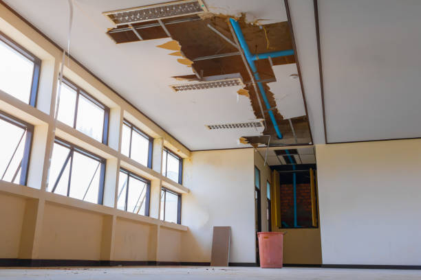 Best Carpet water damage restoration  in Ruthers, CA