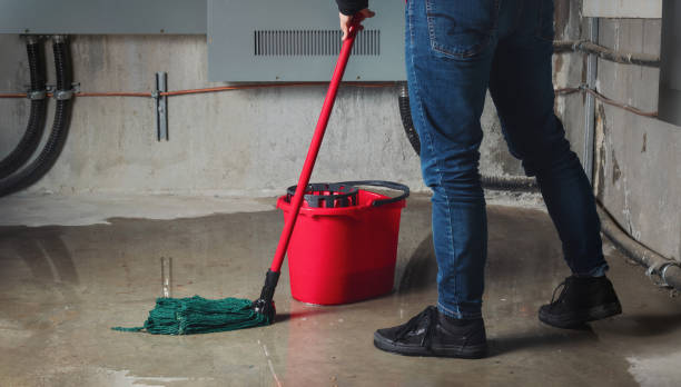 Best Flooded house restoration  in Ruthers, CA