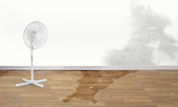 Best Flood damage cleanup  in Ruthers, CA