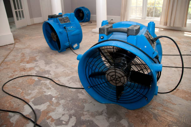 Best 24-hour water damage restoration  in Ruthers, CA