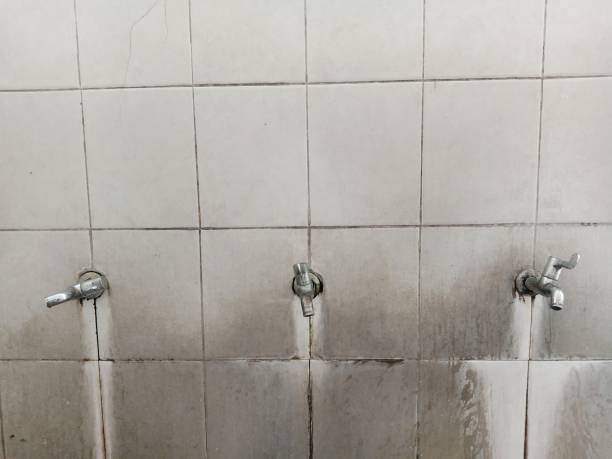 Best Basement water damage restoration  in Ruthers, CA