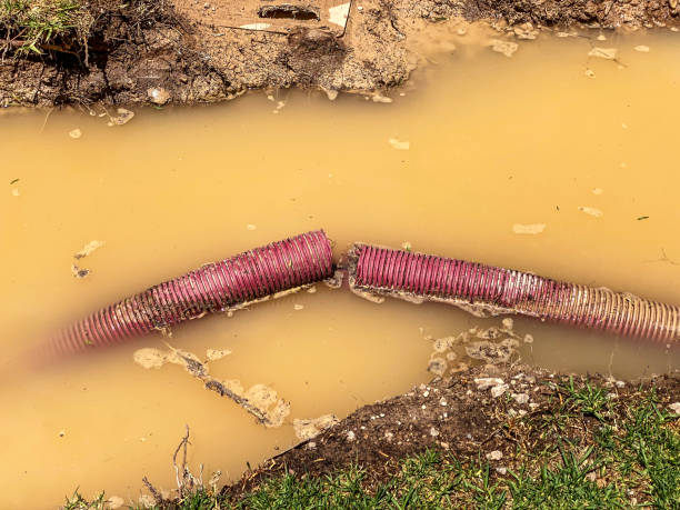 Best Water damage restoration near me  in Ruthers, CA