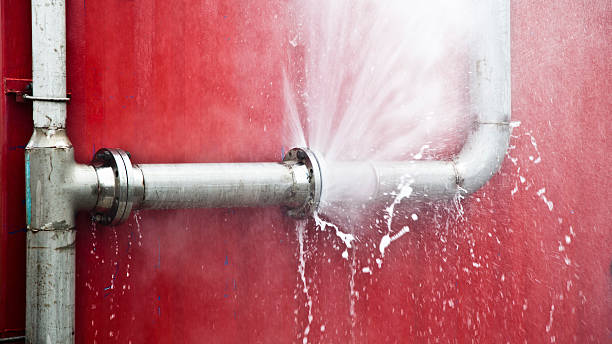 Best Mold removal after water damage  in Ruthers, CA