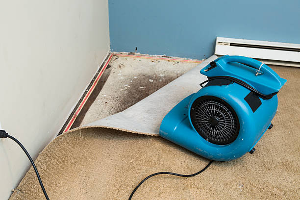 Water damage restoration mold remediation in Caruthers, CA